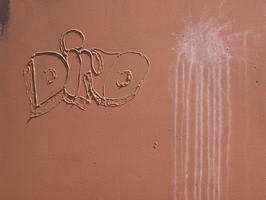 DSCN4515