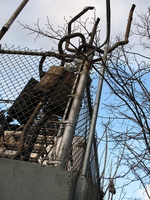 IMG 0725