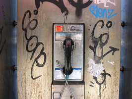 DSCN2216