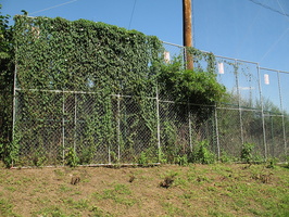 IMG 6903