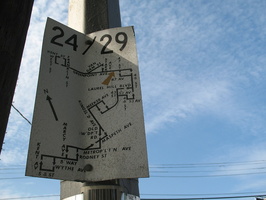 IMG 7644