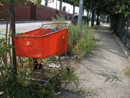 IMG 7677