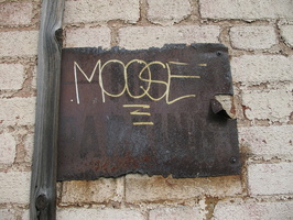 IMG 7716