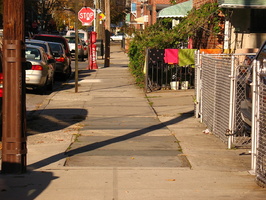 Photos from Astoria and Long Island City (AsLIC) October 30 2009