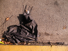 Photos from Astoria and Long Island City (AsLIC) October 30 2009