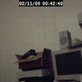 hellohms0560