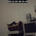 hellohms0564