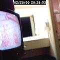 hellohms1186