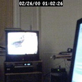 2000010226