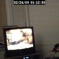 2000011230