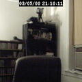 2000211012
