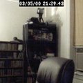 2000212943