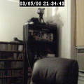 2000213444