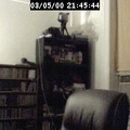 2000214544