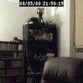 2000215015