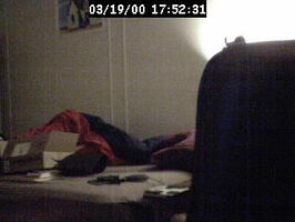 2000175232
