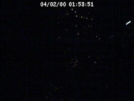 2000015351