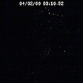 2000031052