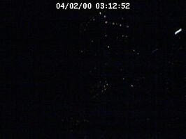 2000031252