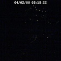 2000031823
