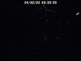 2000033353