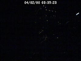 2000033524