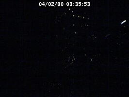 2000033553
