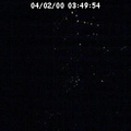 2000034954