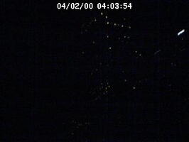 2000040355