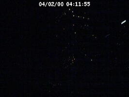 2000041155