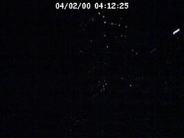 2000041225
