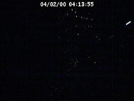 2000041355