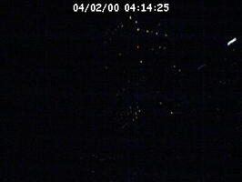 2000041425