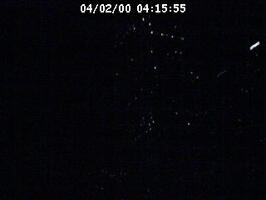 2000041556