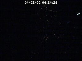 2000042426