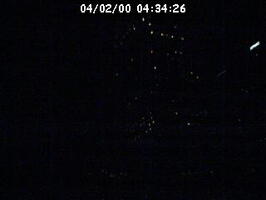 2000043426