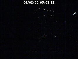 2000050328