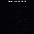 2000050328
