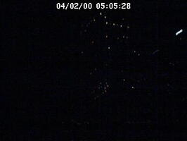 2000050528