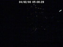 2000050828