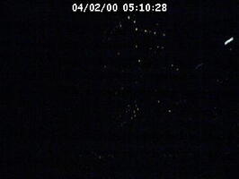2000051028