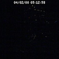2000051259