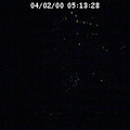 2000051329