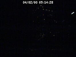 2000051428
