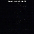 2000051428