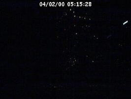 2000051529