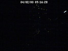 2000051629