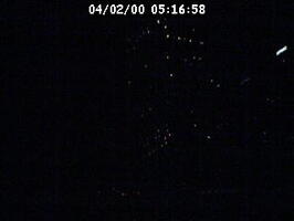 2000051659