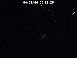 2000052229