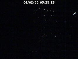 2000052529